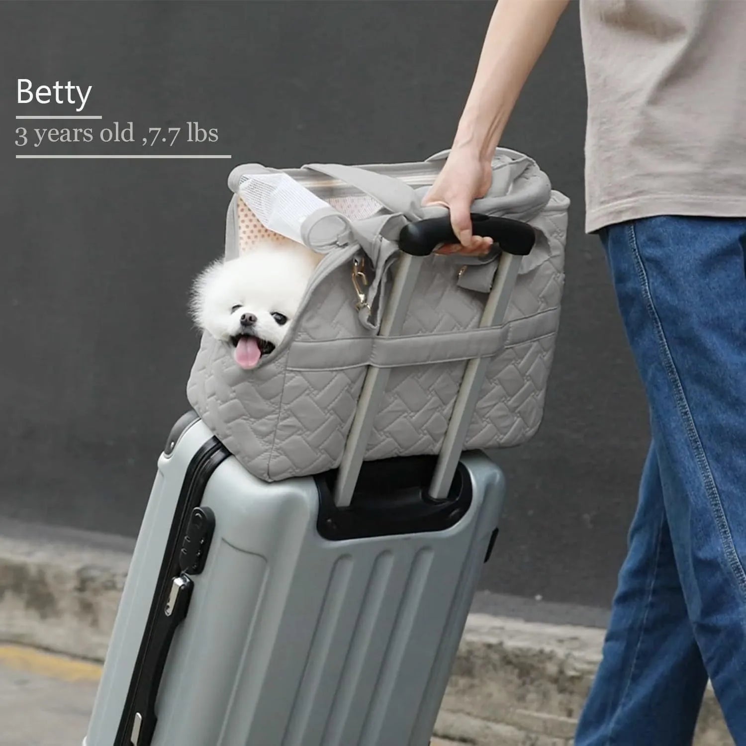 Grey handbag-style pet carrier with mesh panels and a soft cushion inside for a small dog.