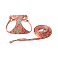 Cloth dog harness and leash set shown in an orange colour, with size options for small to medium dogs.