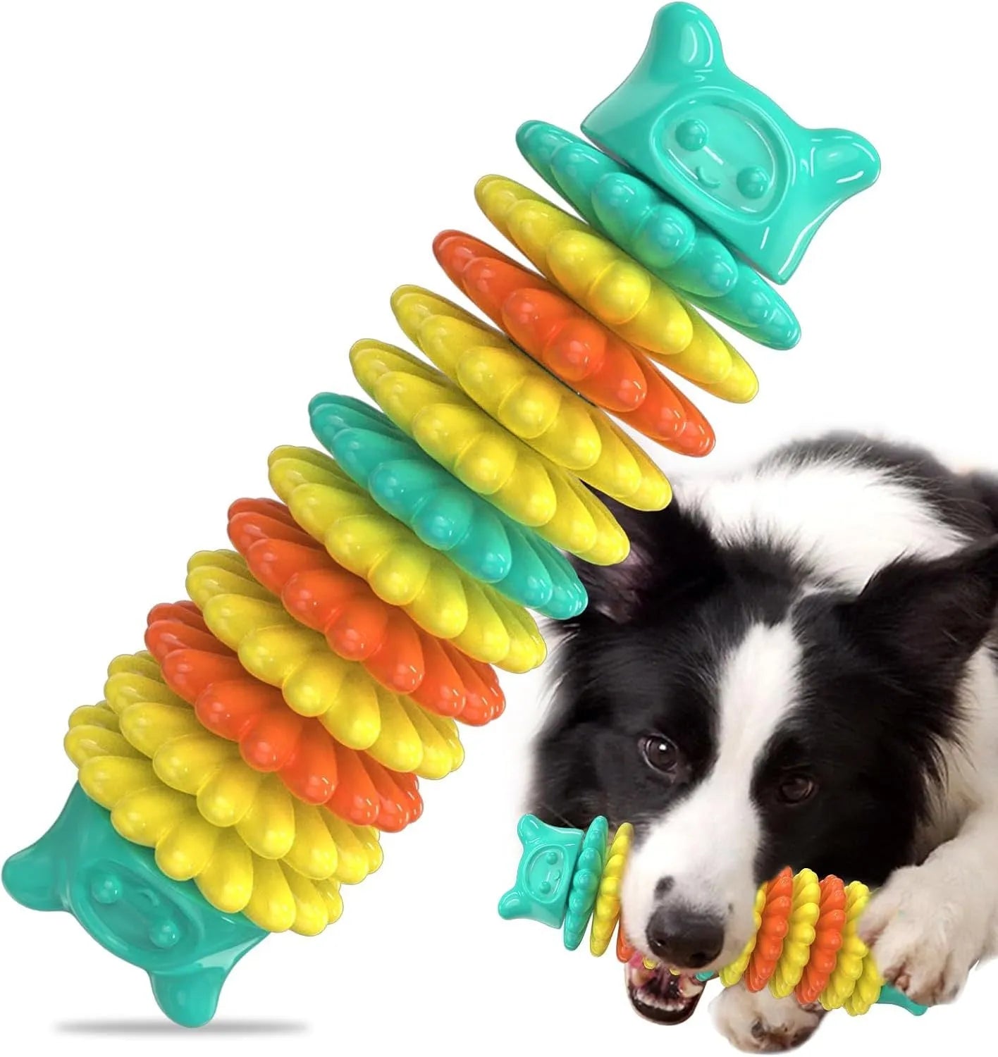 Blue natural rubber caterpillar-shaped dog chew toy for aggressive chewers.