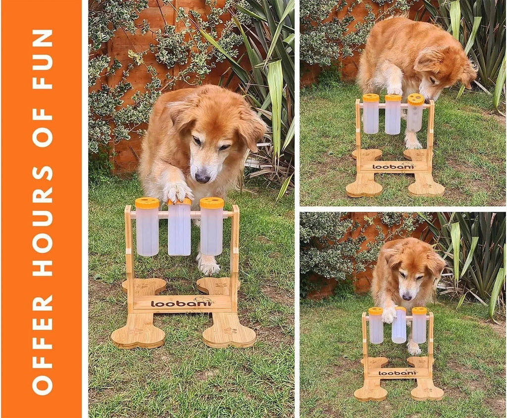 Wooden dog puzzle toy snack dispenser feeder with treat compartments.