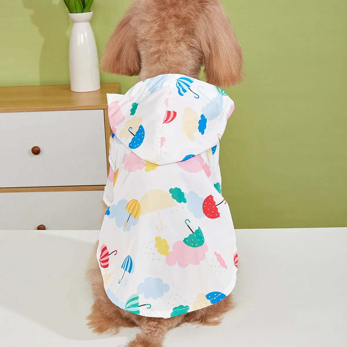 Colourful cartoon umbrella pattern dog and cat raincoat made from polyester fabric.