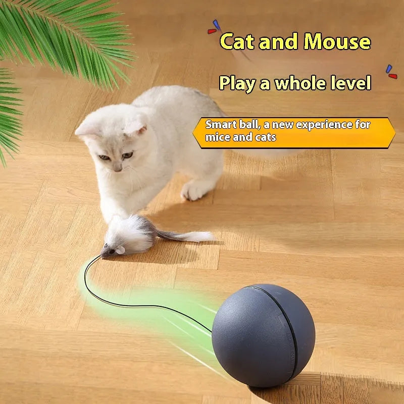Blue orange automatic cat teaser ball with plush mouse attachment rolling on floor