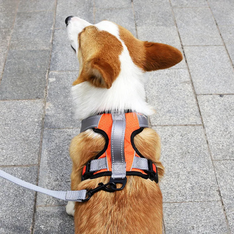 Polyester dog harness with integrated rope attachment points available in multiple colours and sizes