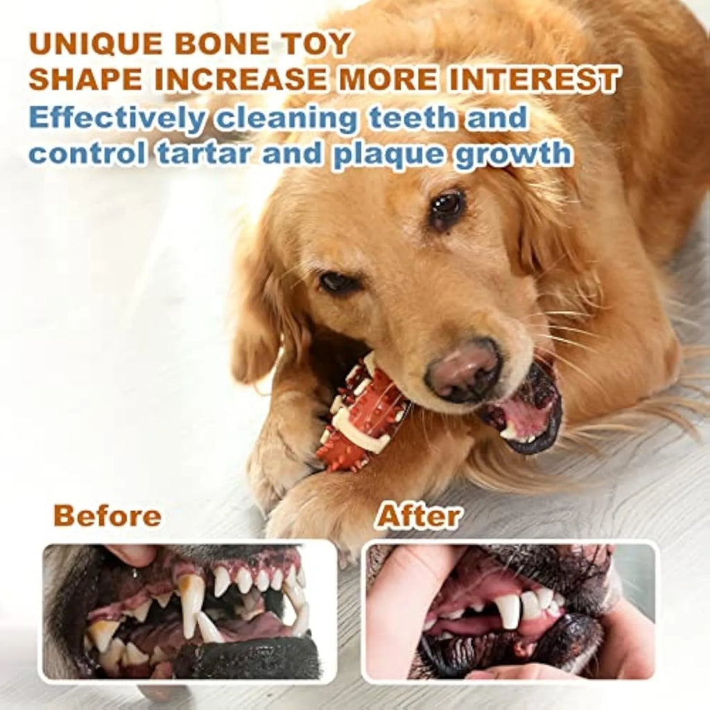 A bone-shaped natural rubber dog molar chew toy shown in two sizes for teeth grinding.
