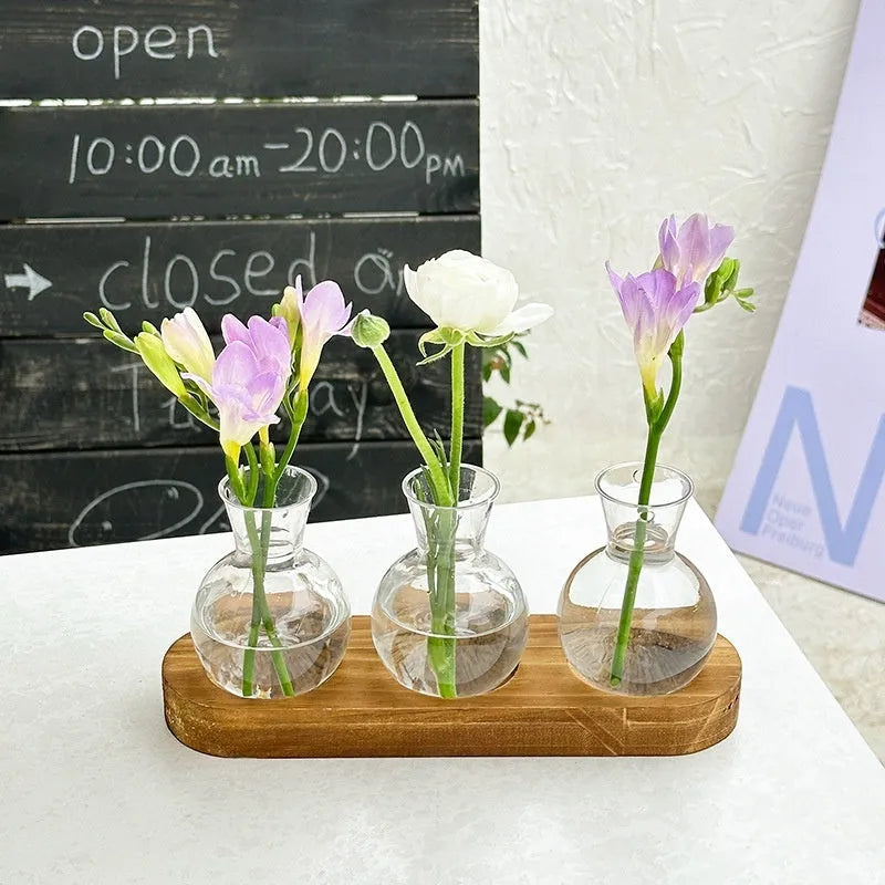 Transparent hydroponic glass vase with wooden frame in wood colour and retro colour options