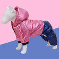 Green four-legged waterproof dog coat on a pet, showing full coverage and casual style.