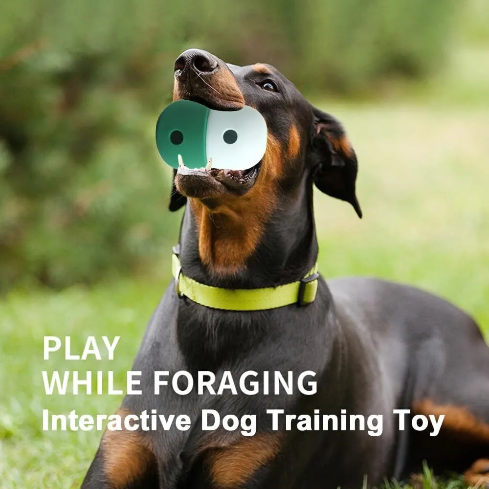 Food grade silicone dog puzzle toy with treat dispensing function in white and blue colour option