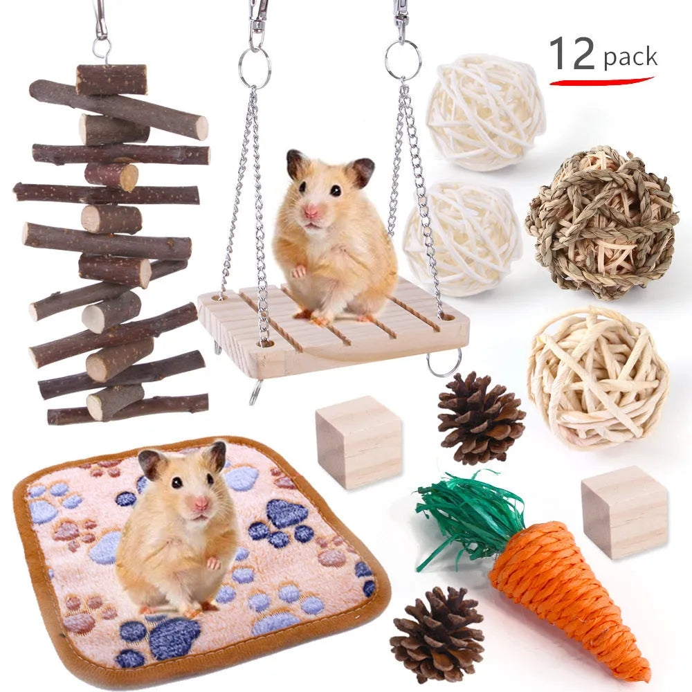 Assorted wooden chew toys for small pets including balls and mats on a natural background