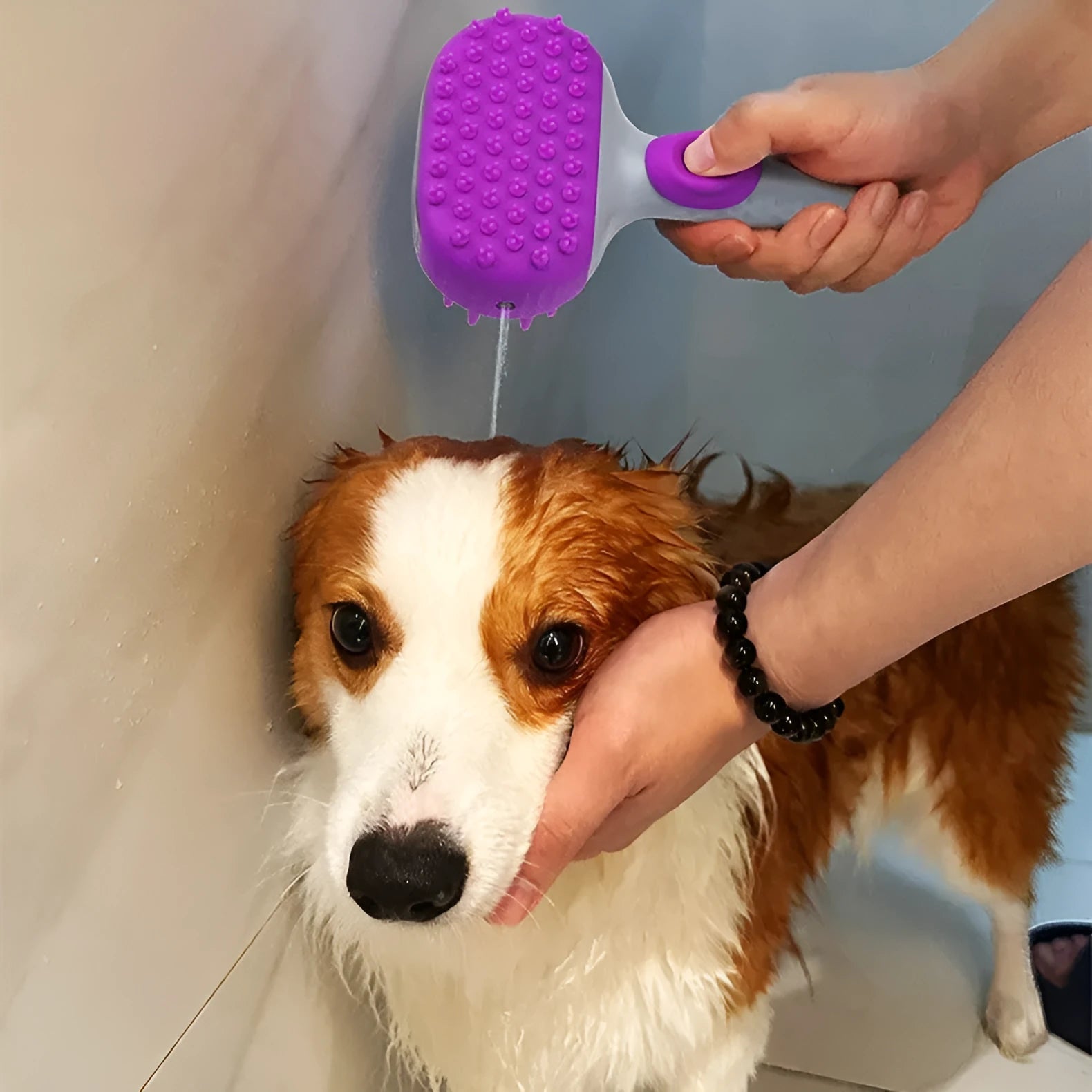 Silicone dog bath brush with lotion dispenser in blue, used for hair cleaning and massage during pet bathing