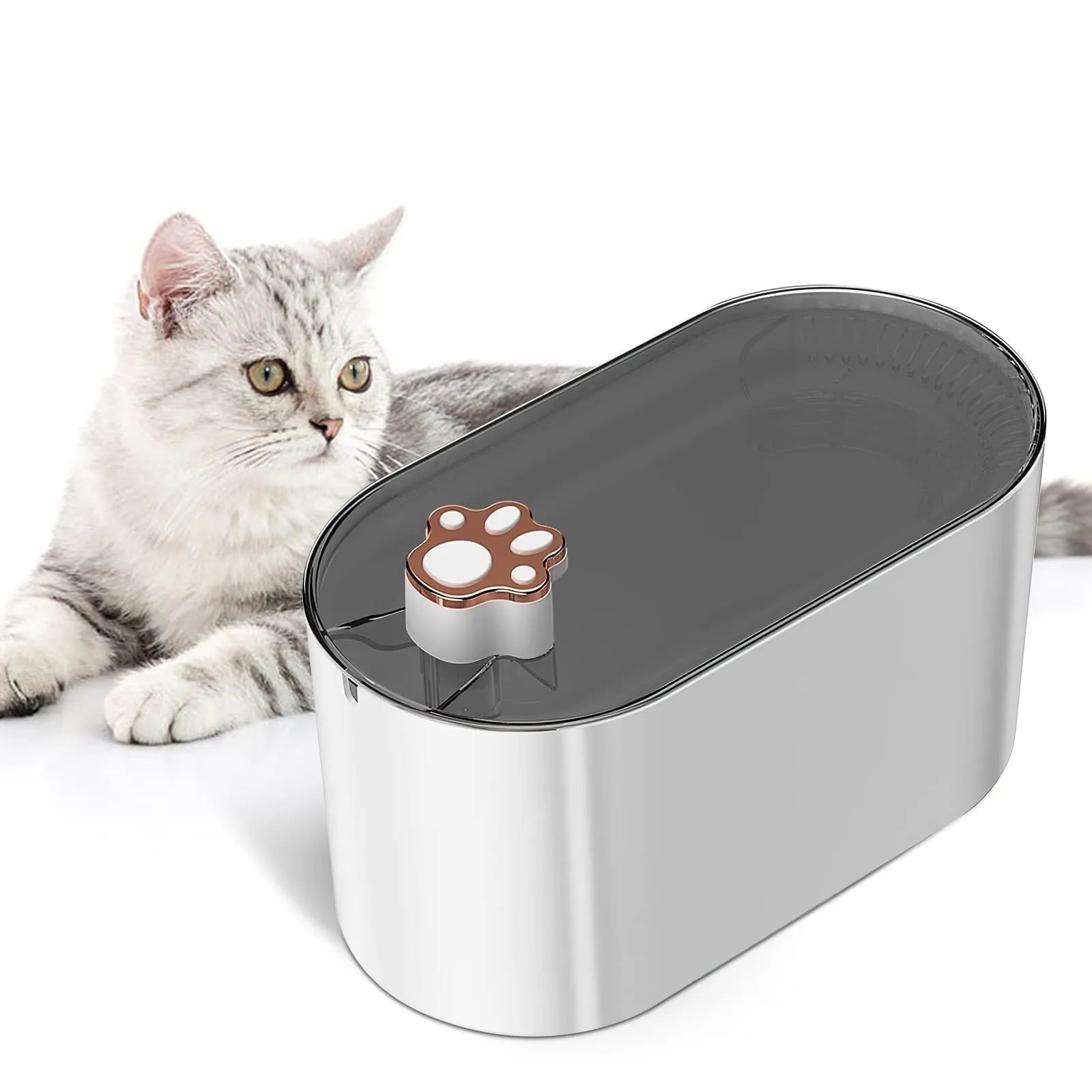 Berlin Blue 3-litre automatic pet water fountain with filter and LED light on a wooden floor.