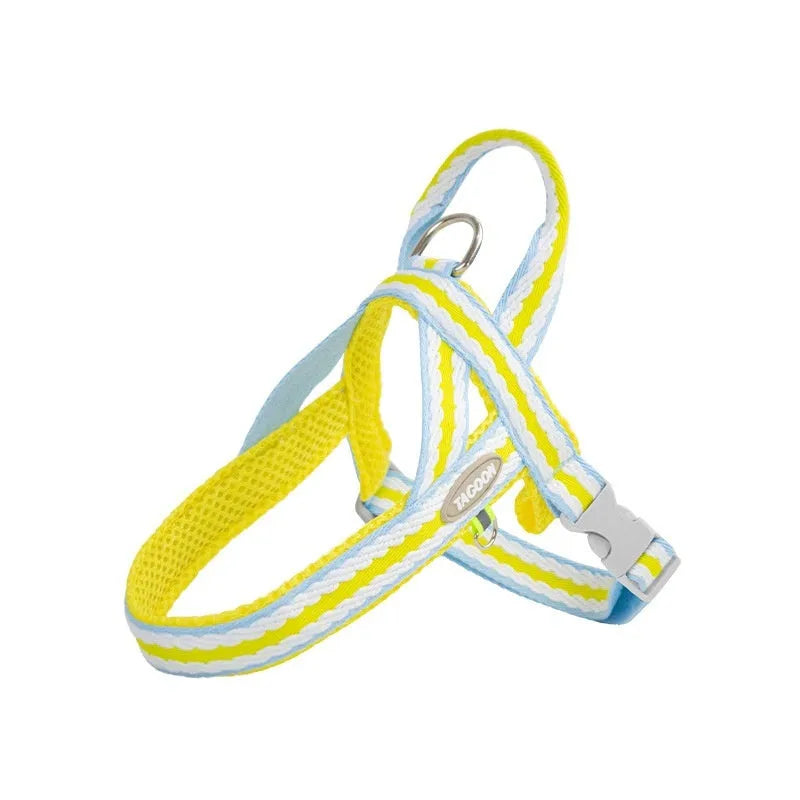 Lightweight polyester dog harness and hand-holding traction rope in sea salt yellow colour on a small dog.