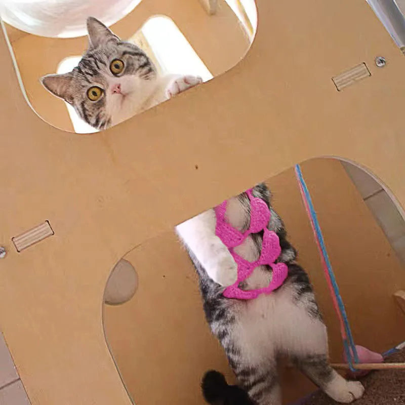 Cat wearing sweet style bikini costume in red colour for Halloween or festival events