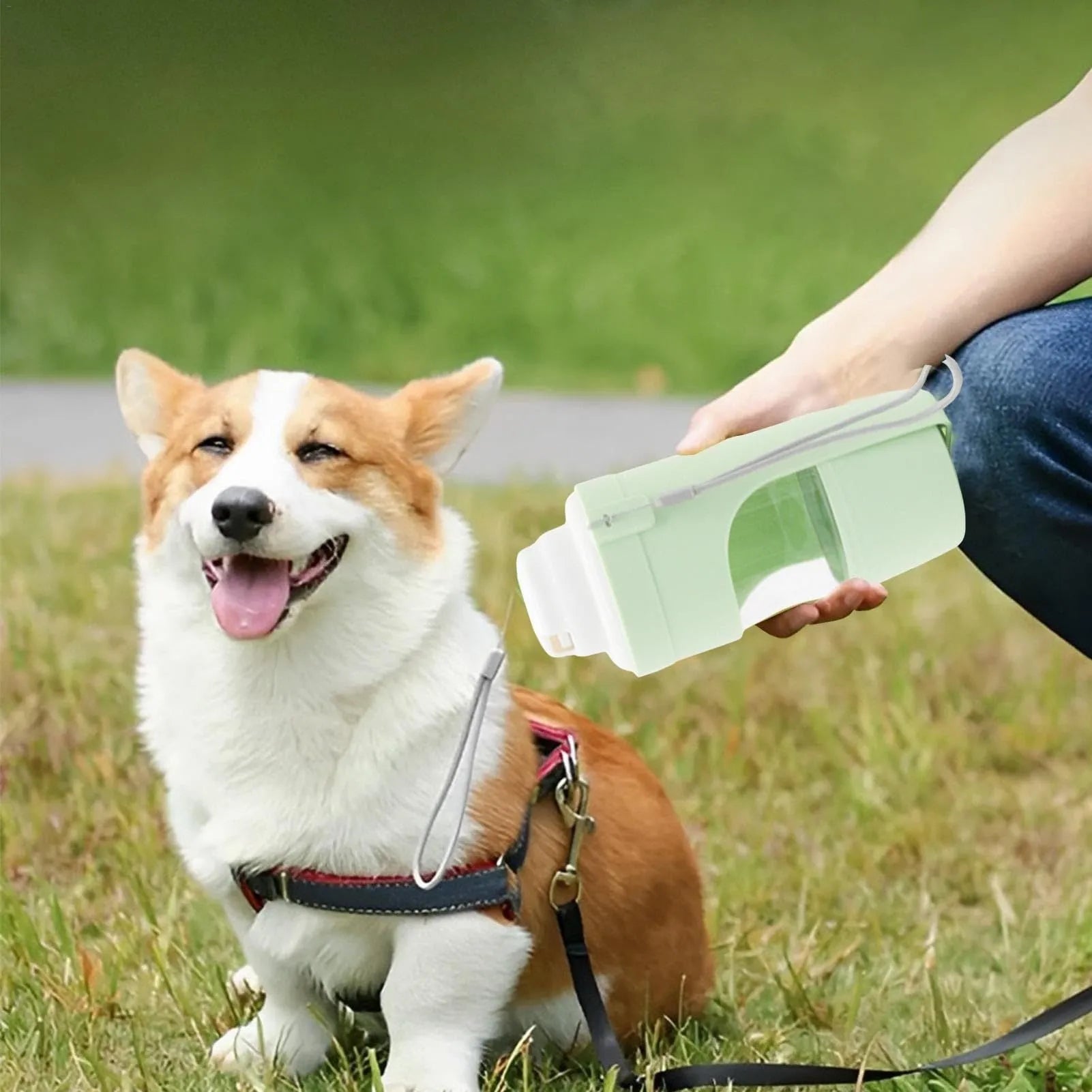 Green 2-in-1 travel dog water bottle and feeder with lanyard, showing folded size.