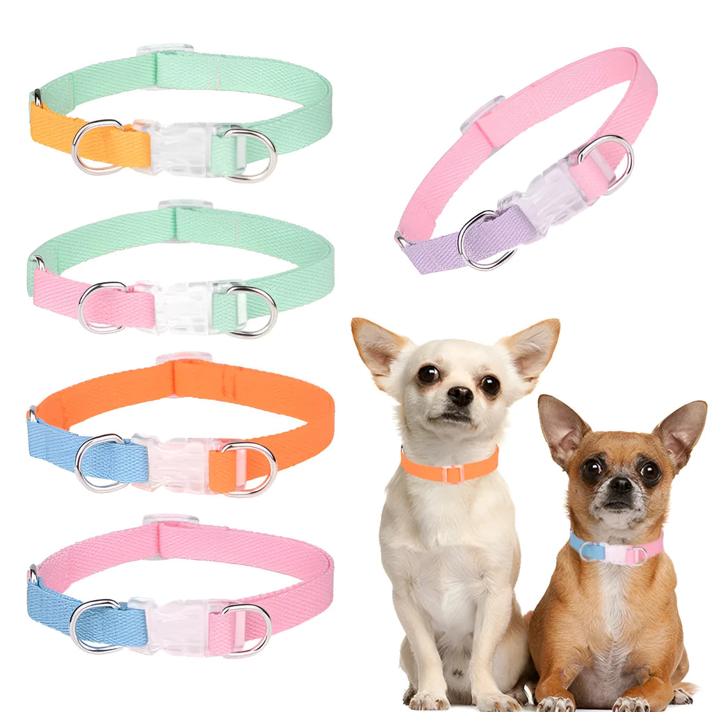 Polyester ribbon dog collar set with hand holding rope and chest strap in multiple colour options