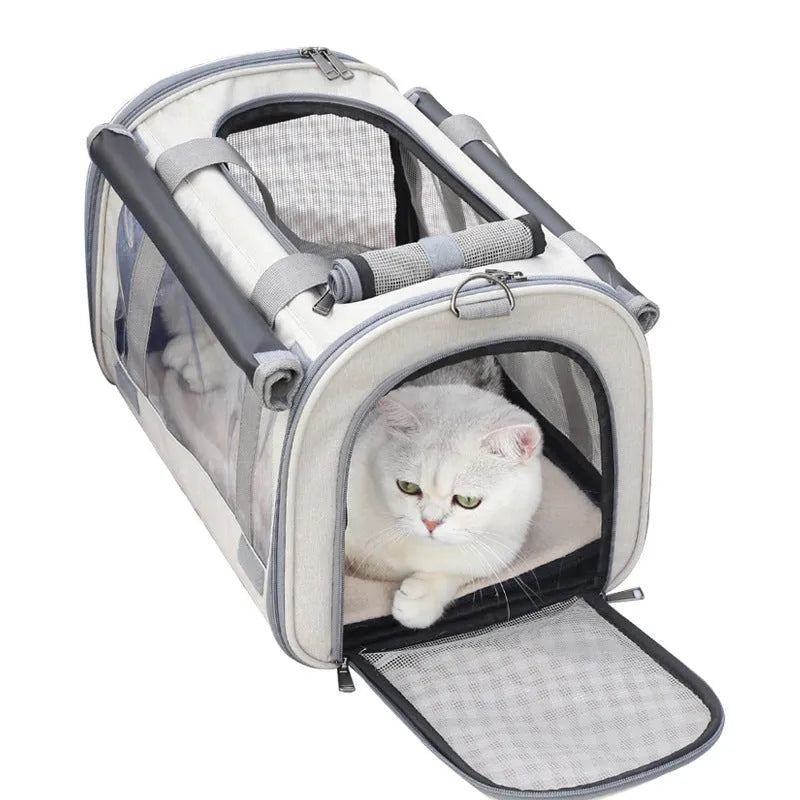 Outdoor portable pet bag in black with transparent panels and mesh sides, folded and shown next to a cat