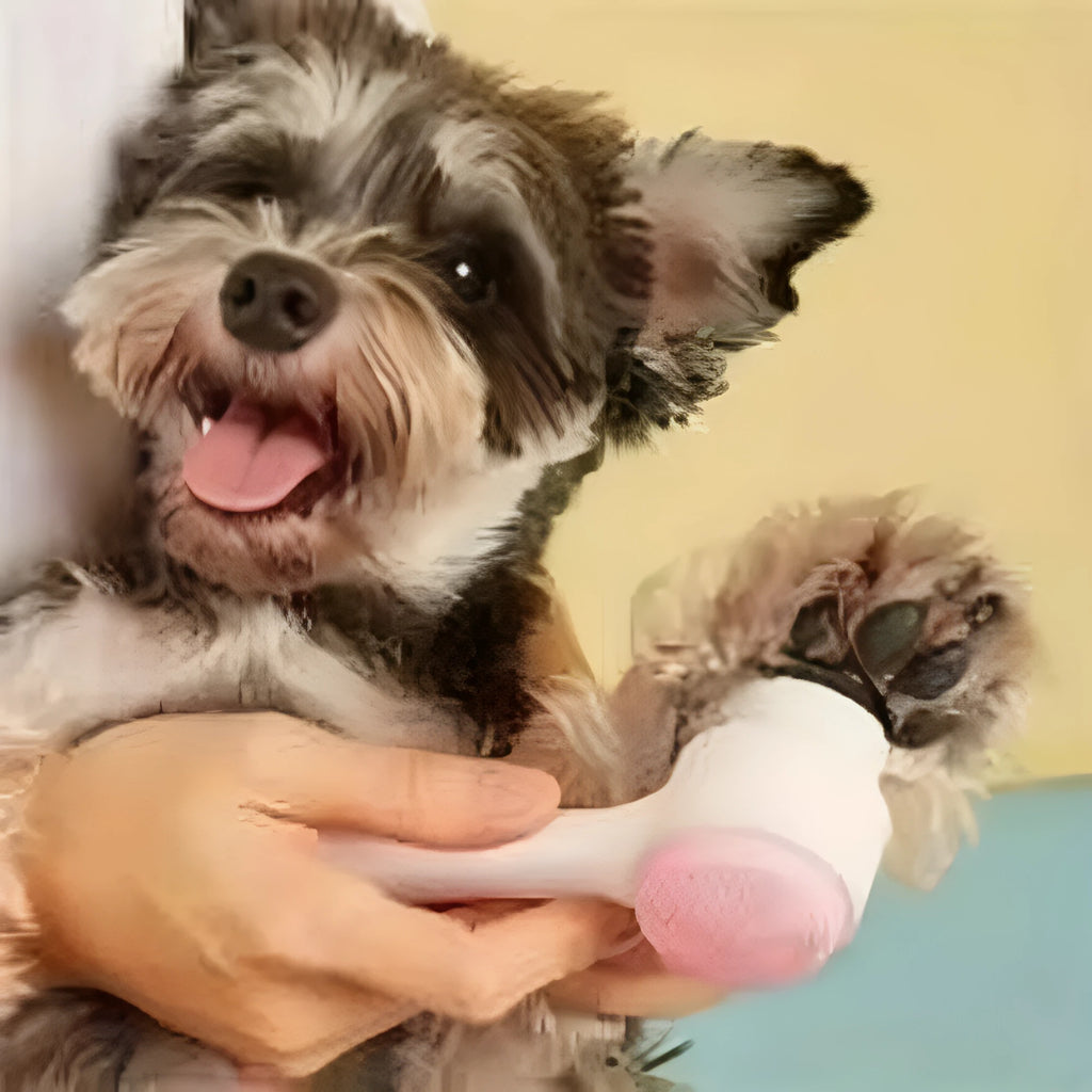Blue nylon pet paw brush for gentle grooming of dogs and cats