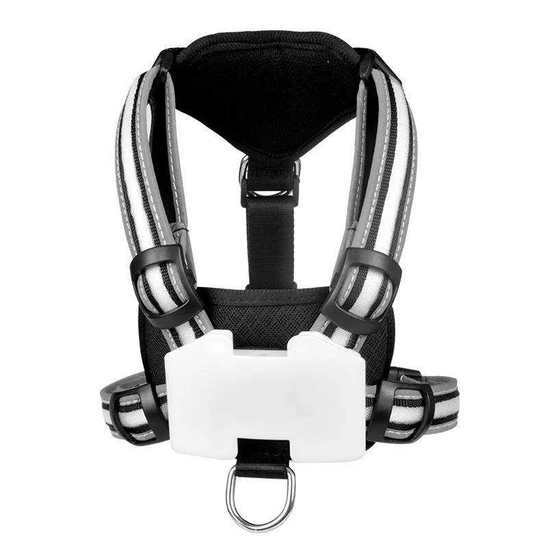 Nylon dog lead with luminous seven-colour strap and attached charging cable.