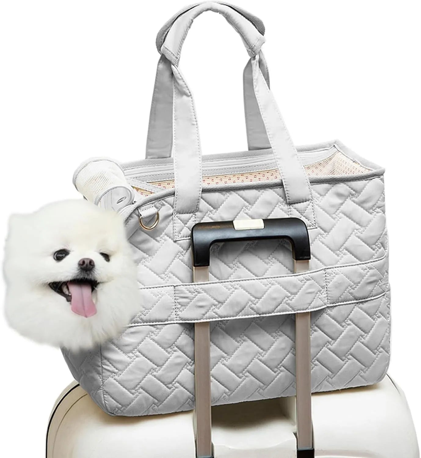 Grey handbag-style pet carrier with mesh panels and a soft cushion inside for a small dog.