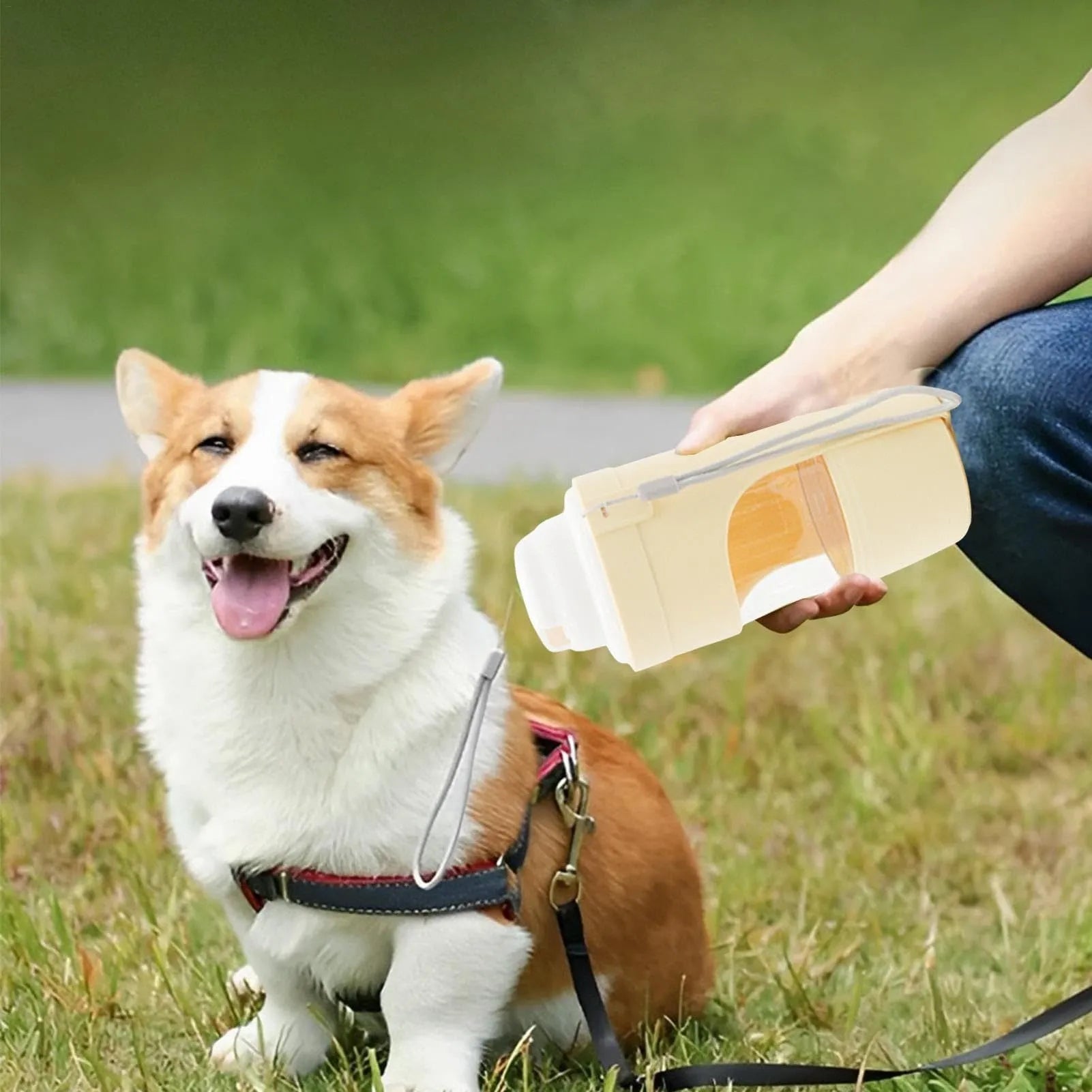 Green 2-in-1 travel dog water bottle and feeder with lanyard, showing folded size.