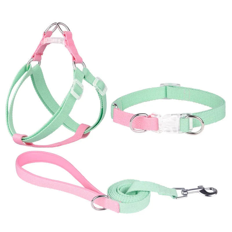 Polyester ribbon dog collar set with hand holding rope and chest strap in multiple colour options