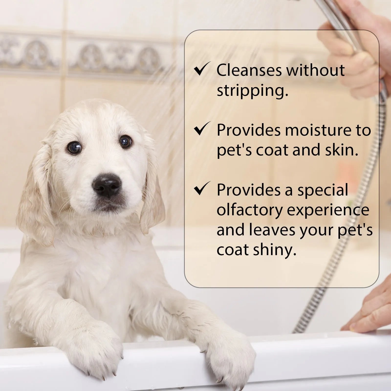 Bottle of mild pet shampoo for dogs and cats in 100ml or 300ml size.