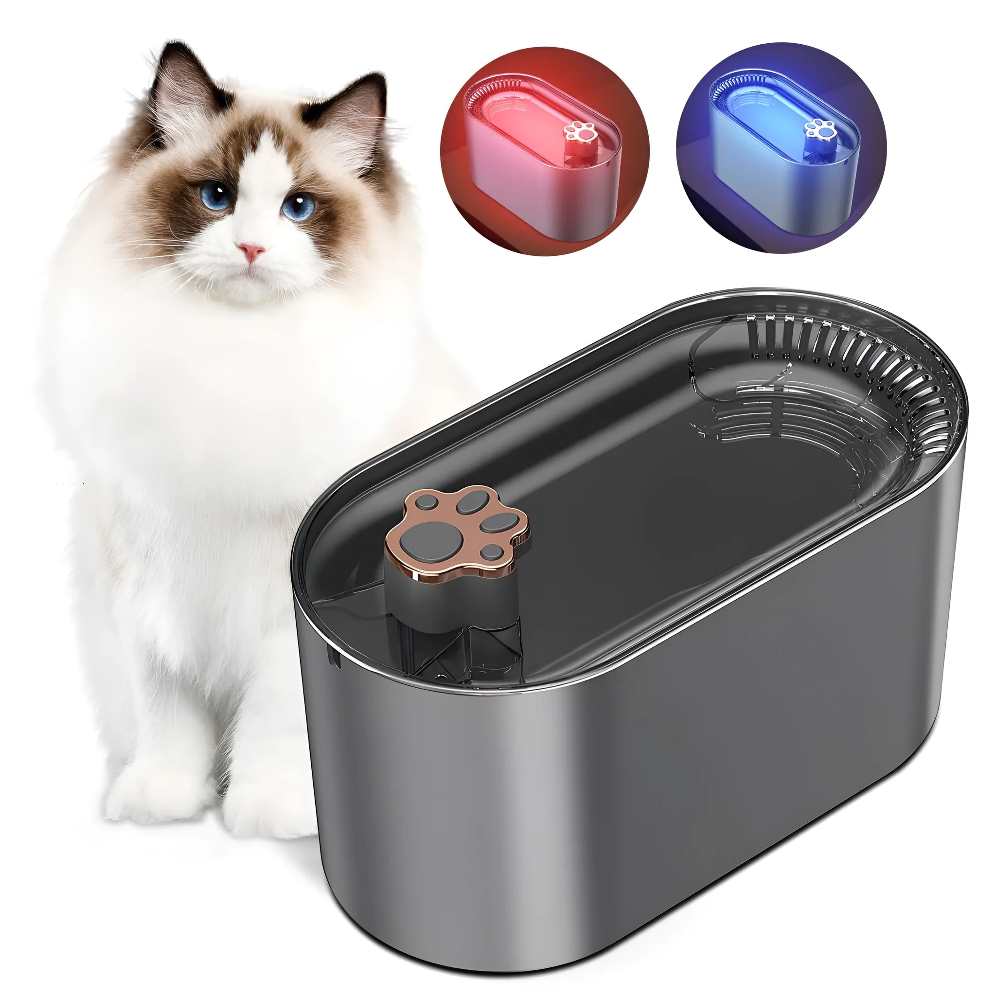Berlin Blue 3-litre automatic pet water fountain with filter and LED light on a wooden floor.