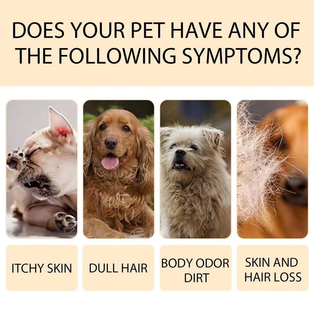 Bottle of mild pet shampoo for dogs and cats in 100ml or 300ml size.