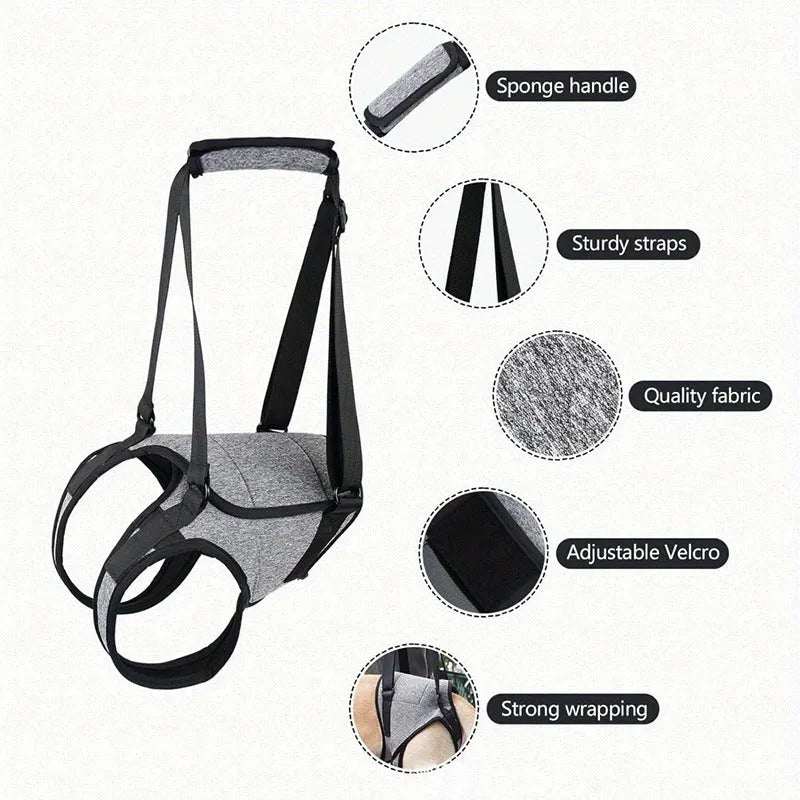 Grey neoprene dog recovery belt for injured rear leg support with adjustable sizing