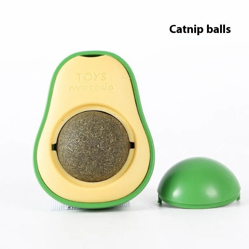 Plastic catnip ball toy in assorted colours with a textured surface for feline teeth cleaning.