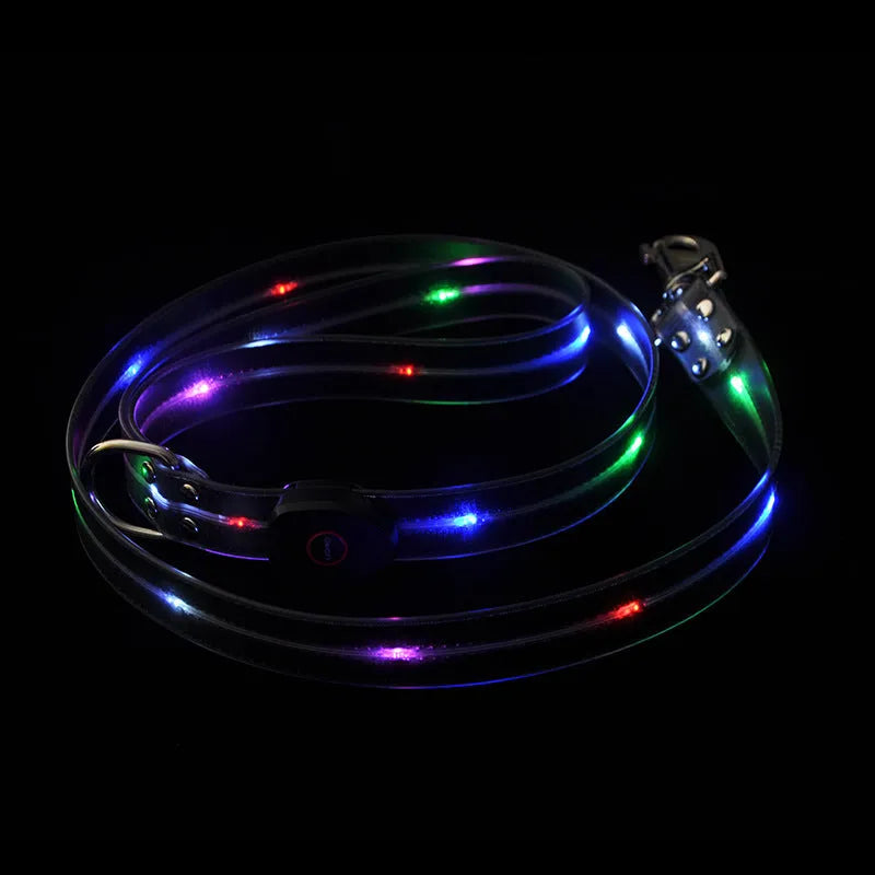Luminous dog collar rope leash in fluorescent green colour with PVC construction