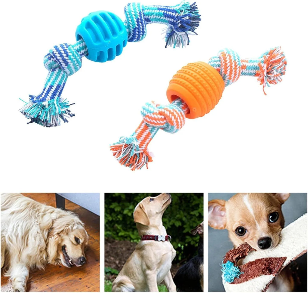 Blue dog chew toy with molar shape and rope attachment for teeth cleaning