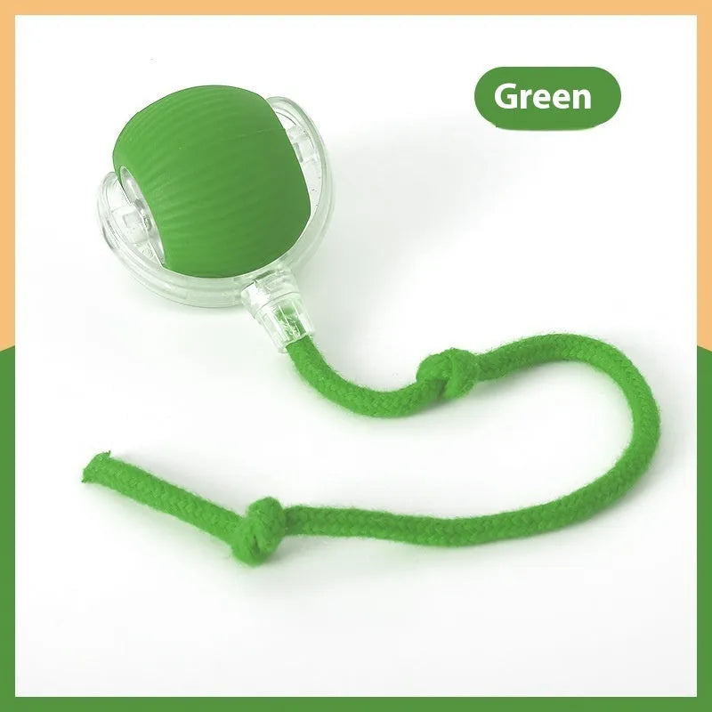 Interactive electronic cat toy ball with coloured lights on grey, green, and red backgrounds.