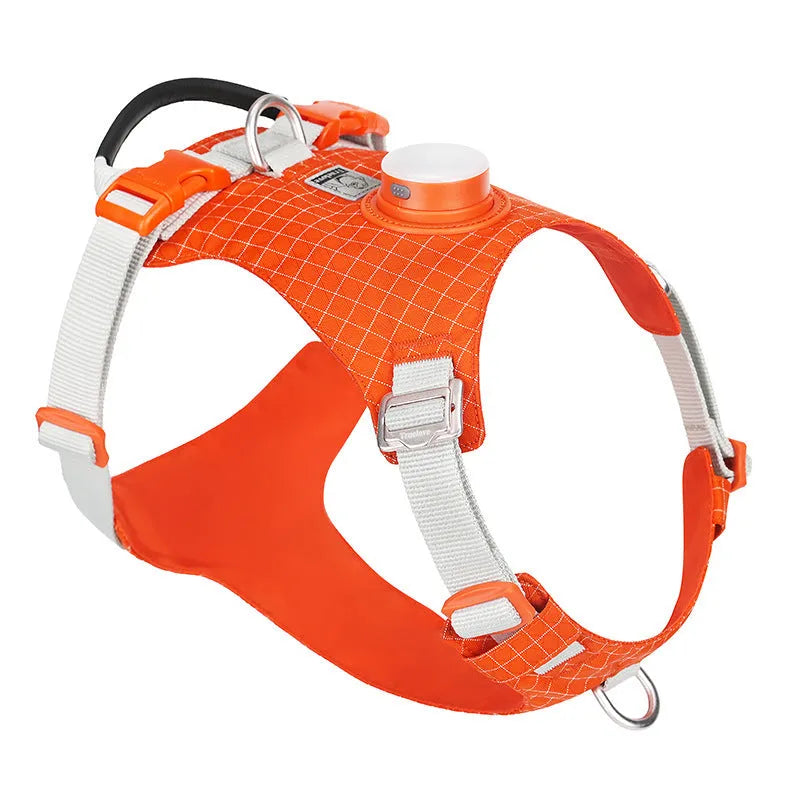 LED dog chest harness in multiple colours with adjustable straps for nighttime safety during walks