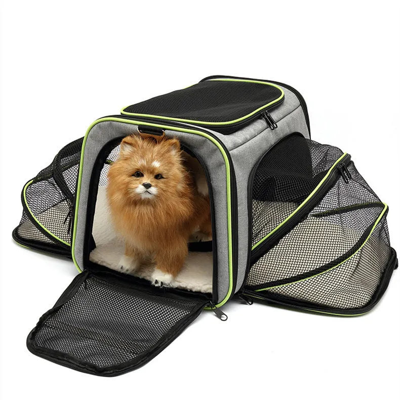 Cat carrier bag made from 600D cation fabric in solid colour with piping colour options