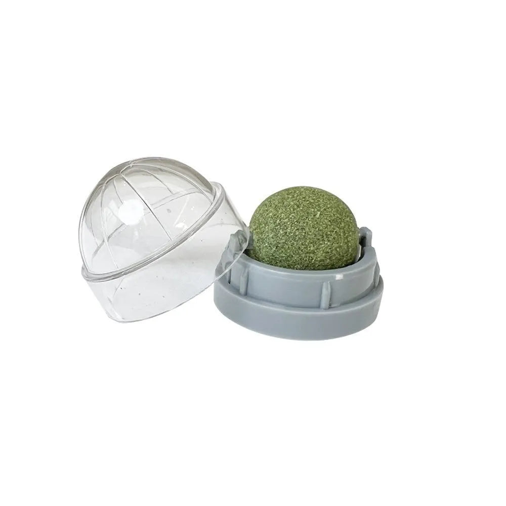 Plastic catnip ball toy in assorted colours with a textured surface for feline teeth cleaning.