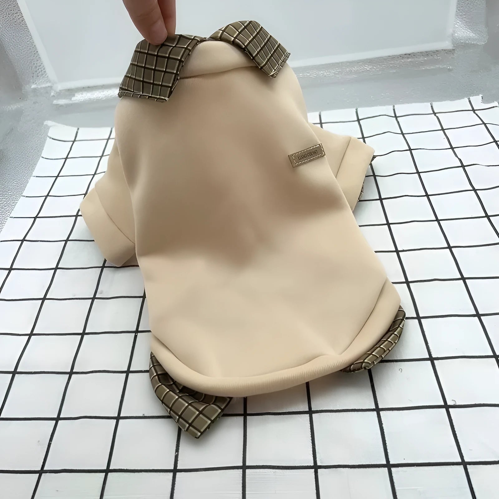 Grey dog jumper with detachable collar hoodie on small breed pet showing two-piece construction