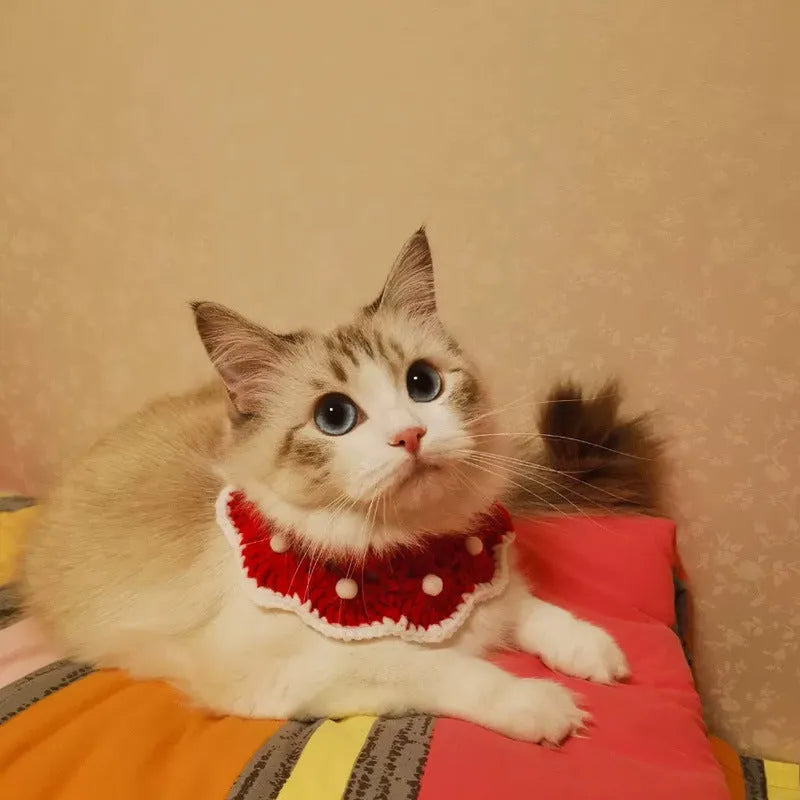 Milk cotton knitted collar with cartoon pattern for a cat, showing customisable colour options.