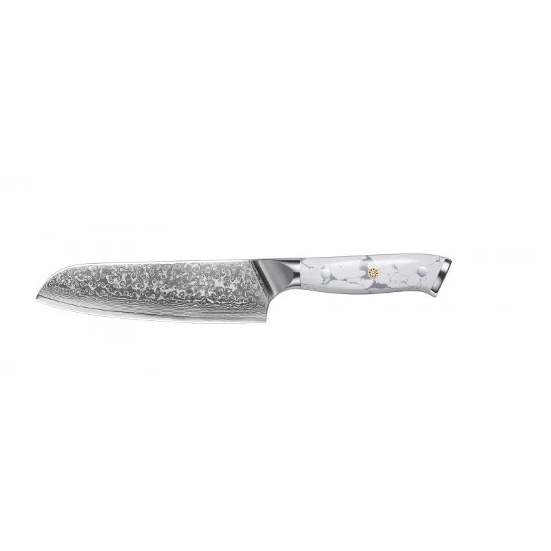 Damascus pattern chef's knife with VG10 steel blade and modern handle on a kitchen counter.