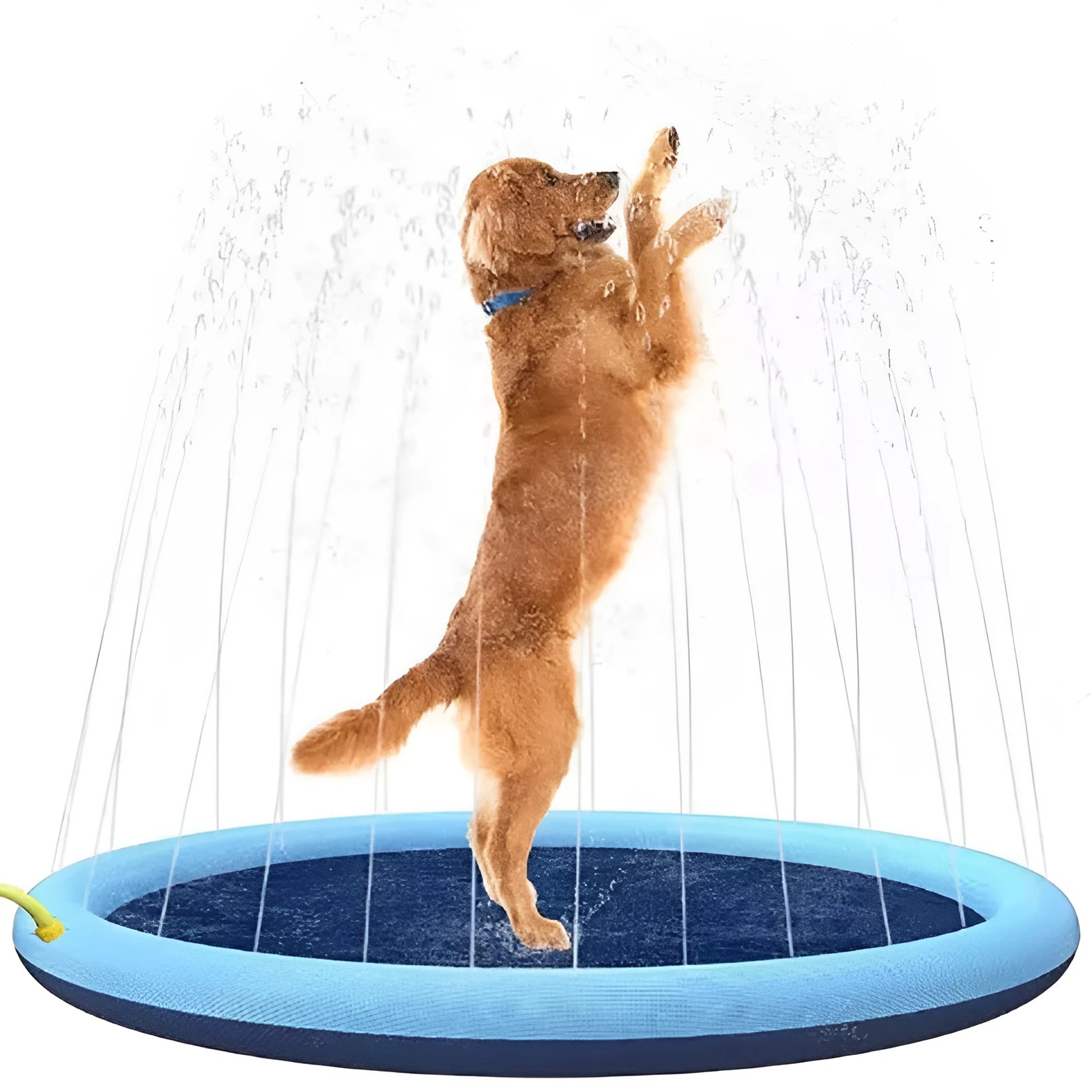 Large 150cm diameter blue dog splash pad with anti-slip texture, filled with water on grass.