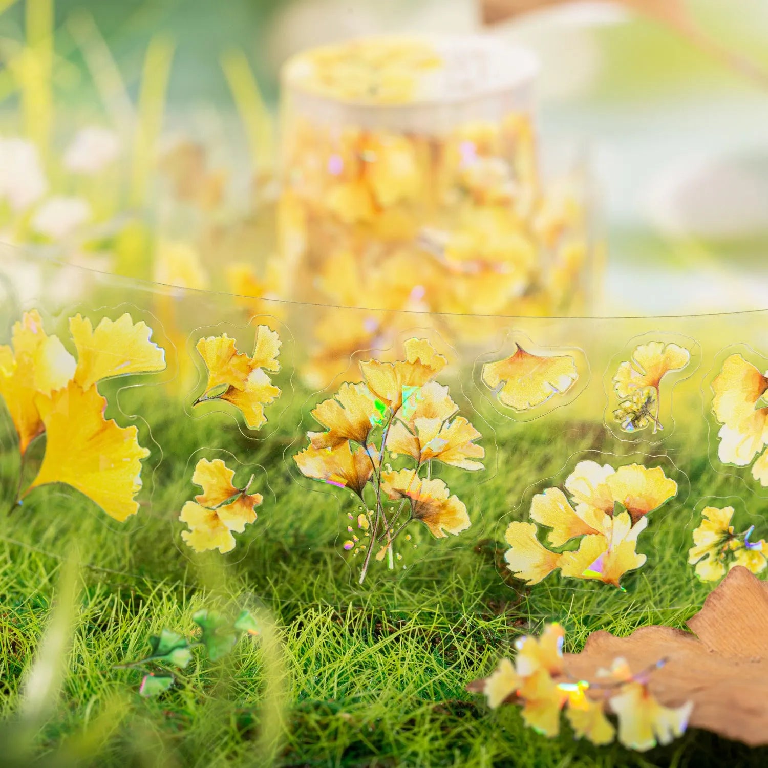 Roll of PET decorative stickers showing six botanical colour designs with 40mm width and 2m length dimensions