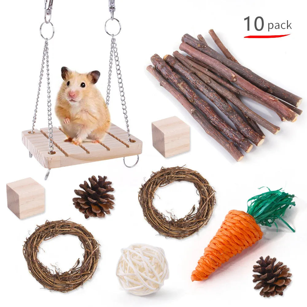 Assorted wooden chew toys for small pets including balls and mats on a natural background