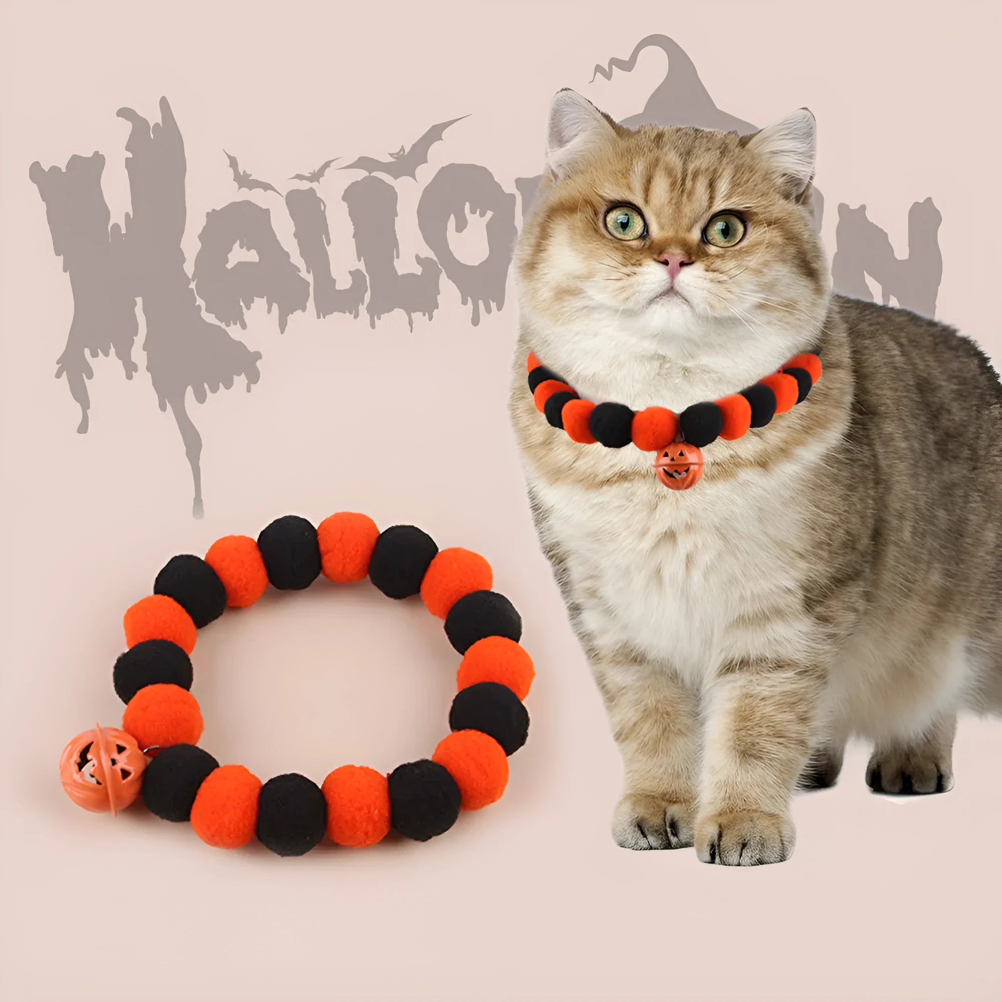 Halloween cat collar with orange pumpkin design and trick or treat text for festive pet costumes