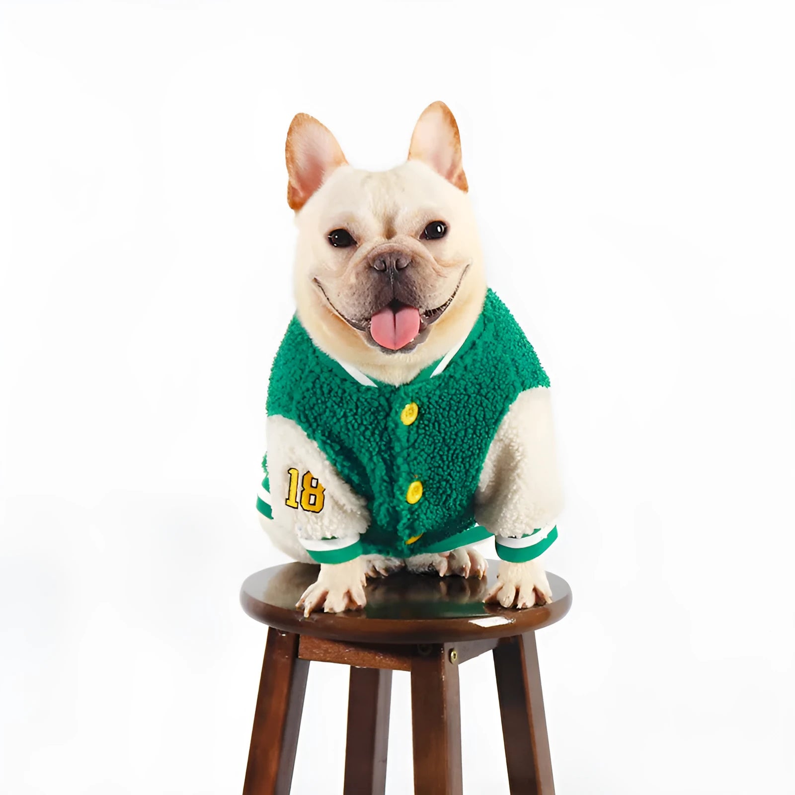 Green fleece-lined cotton dog clothing for winter wear in multiple sizes