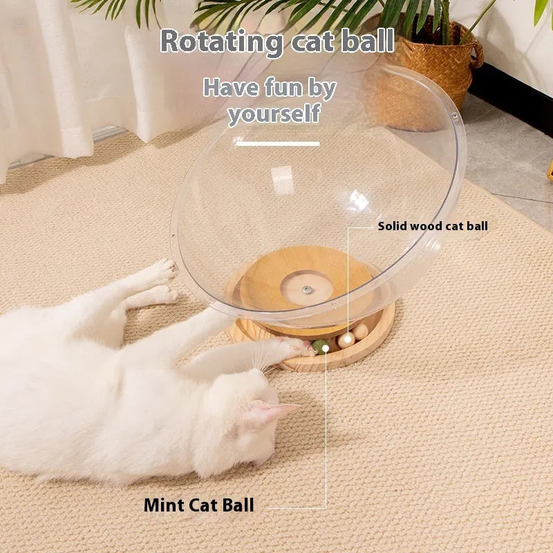 Transparent acrylic cat space capsule bed with enclosed design.