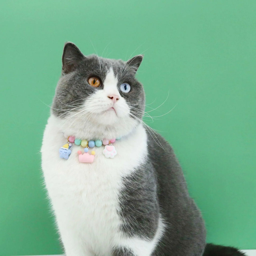 Colourful macaron charm pet collar and matching bracelet set in resin on a white background.