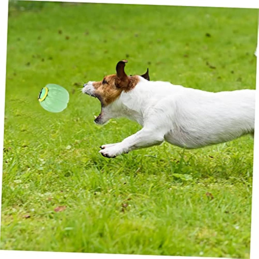 Plastic pumpkin dog chew toy with squeaker for small dogs in orange colour