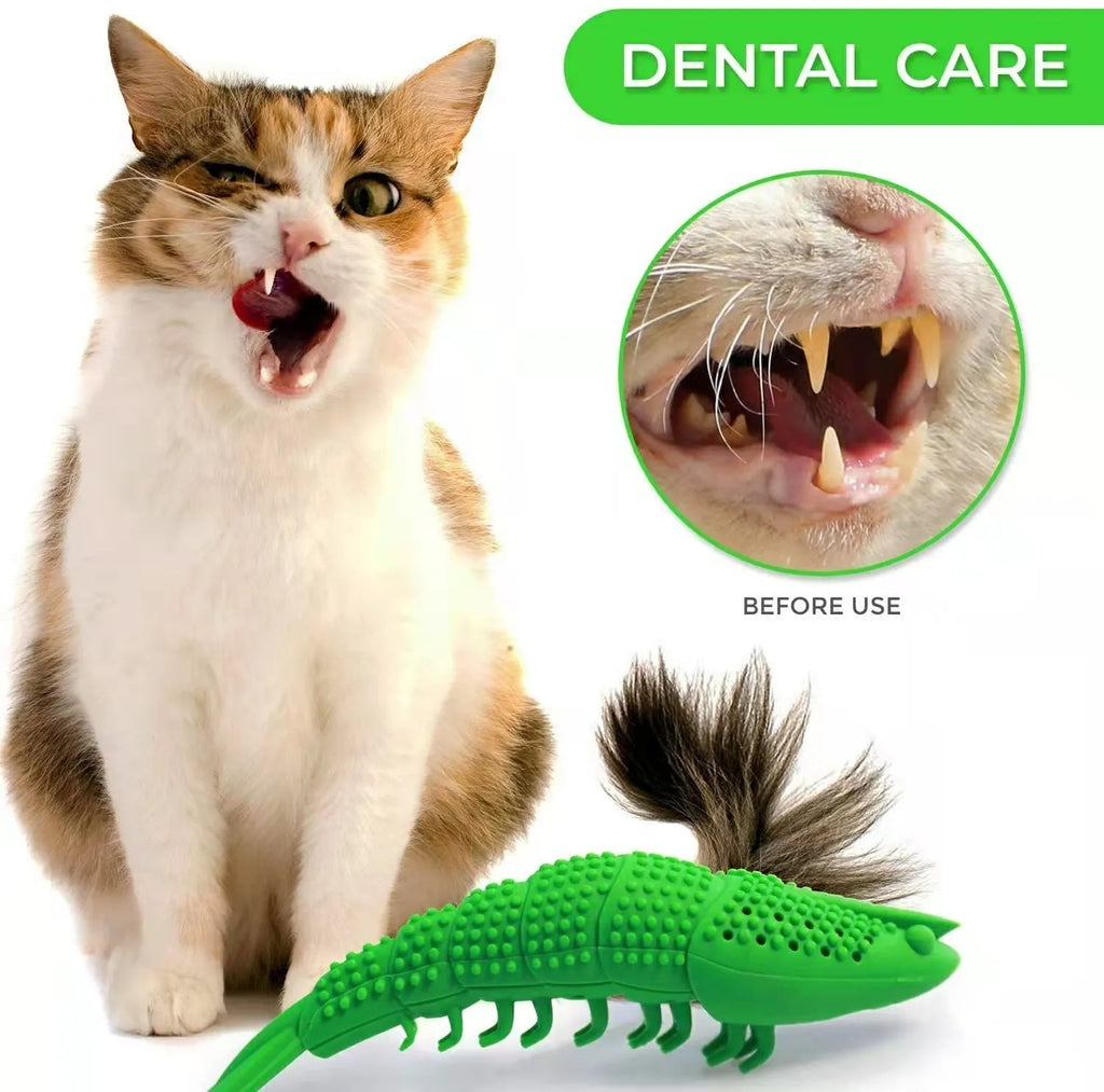 Blue hard rubber catnip toy with textured dental cleaning surface and bell inside