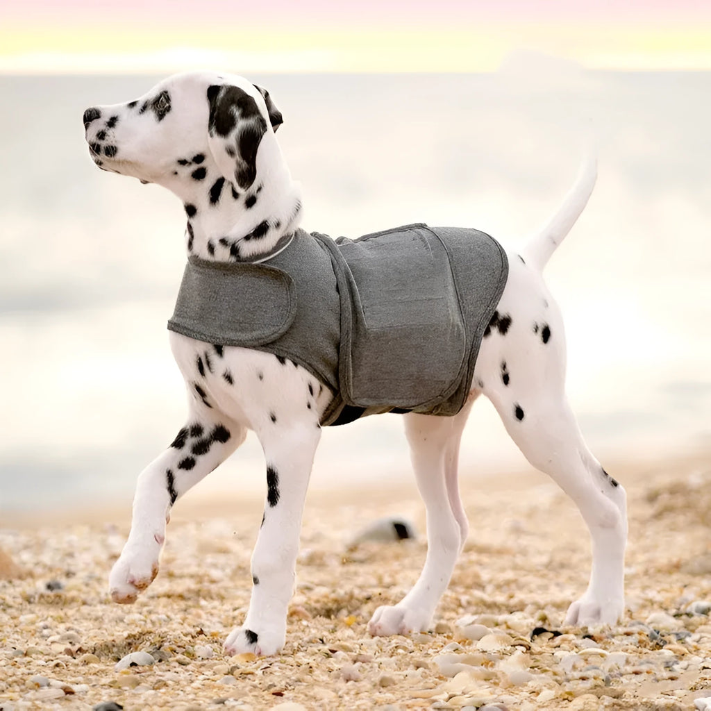 Heather grey dog anxiety jacket and warm vest made from brocade cotton ponte de roma fabric.
