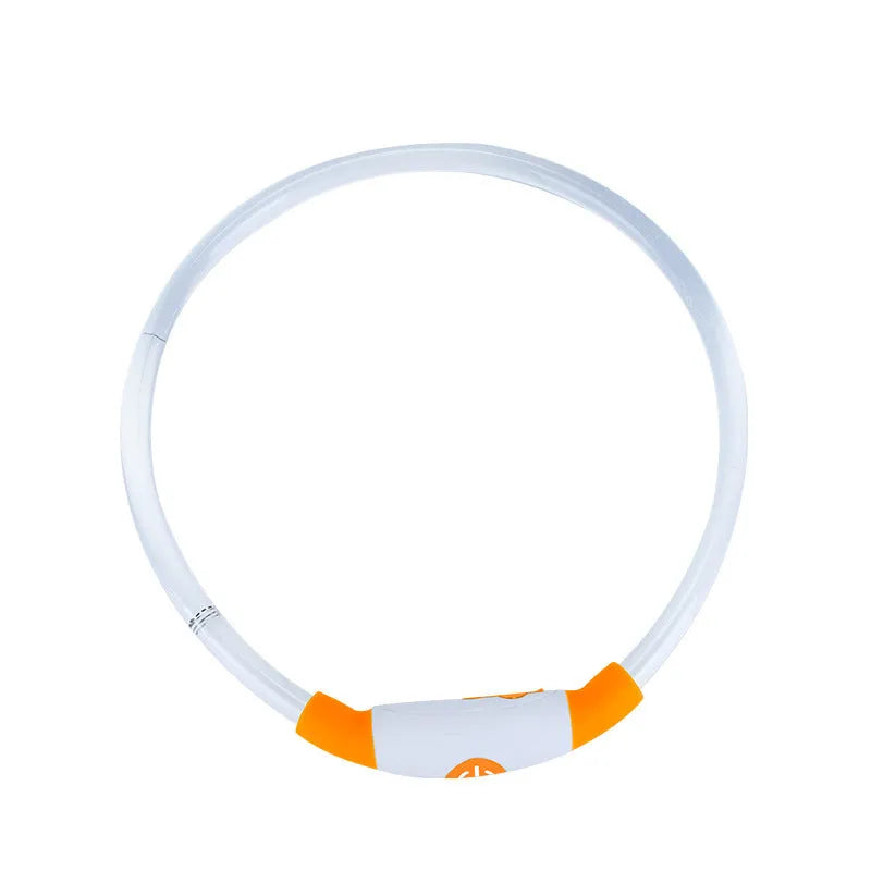 Blue USB rechargeable LED dog collar glowing around dog's neck with adjustable 70cm length