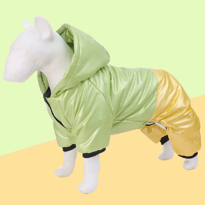 Green four-legged waterproof dog coat on a pet, showing full coverage and casual style.